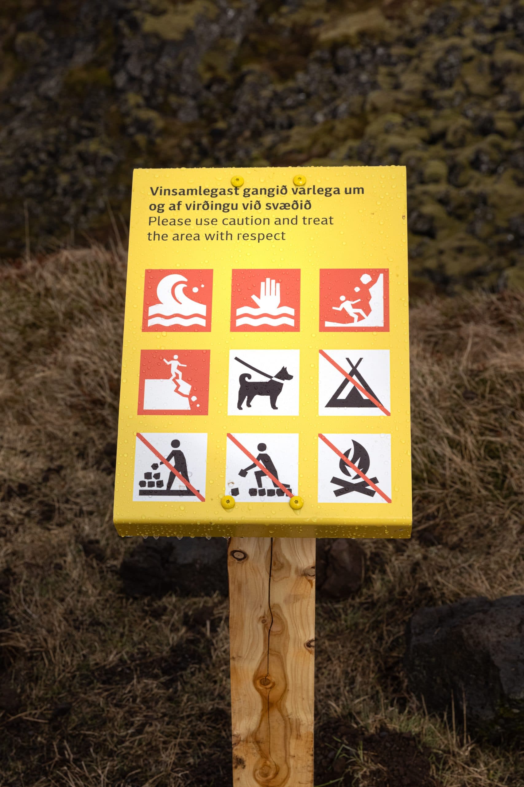 Hallandi öryggis skilti